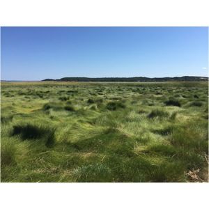 Meet your Posher, Leanne