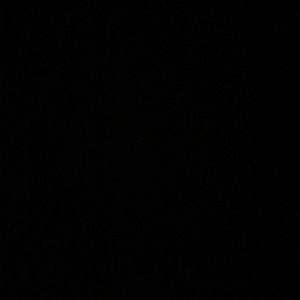 Meet your Posher, Shayna