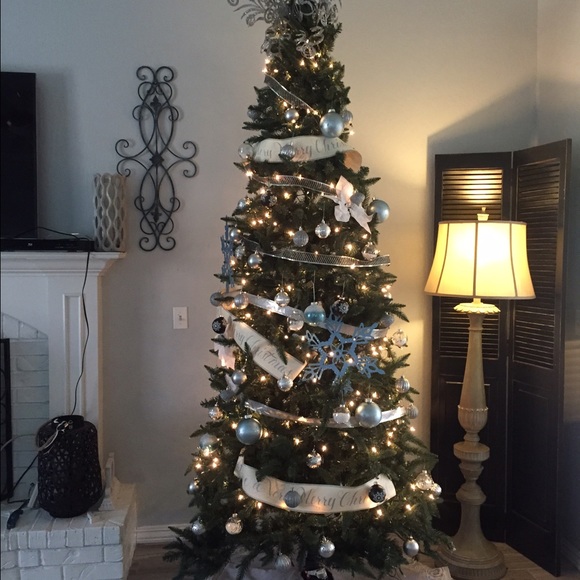 Meet your Posher, Tassy