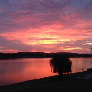 Meet your Posher, Beverly