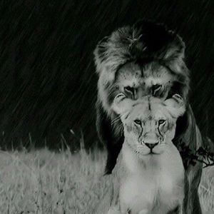 Meet your Posher, Jane