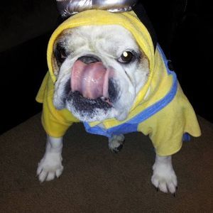 Meet your Posher, Danielle