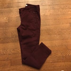 Burgundy Chinos