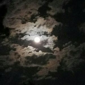 Meet your Posher, Diana