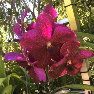 Meet your Posher, Joann