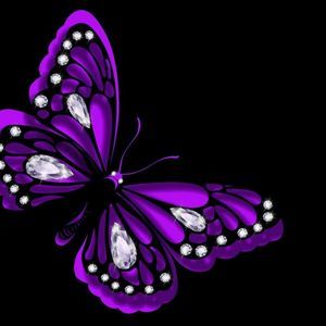 Meet your Posher, Christa