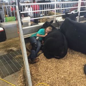 Meet your Posher, Elizabeth