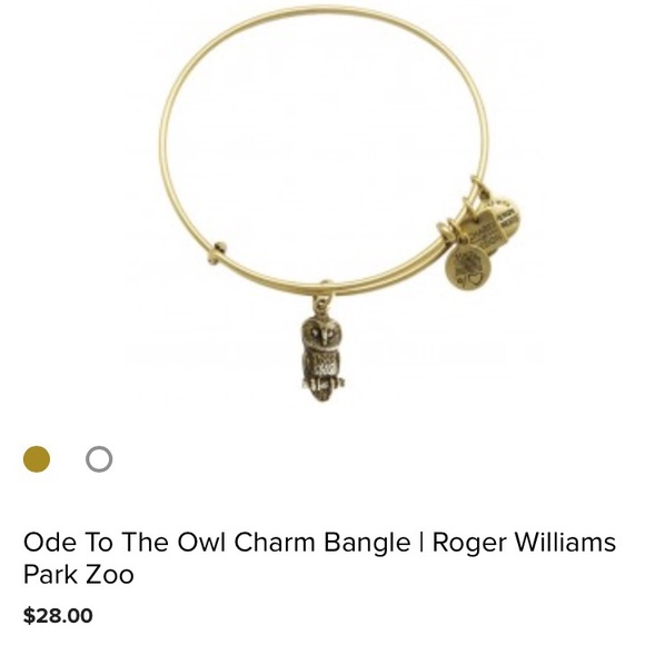 Alex+Ani Ode To the Owl Charm Bracelet