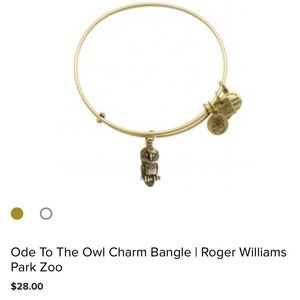 Alex+Ani Ode To the Owl Charm Bracelet