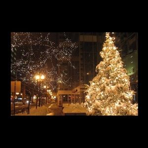 Meet your Posher, Jenny