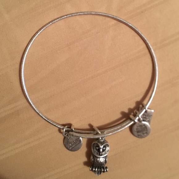 Alex and Ani owl bracelet