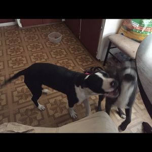 Meet your Posher, Anthony