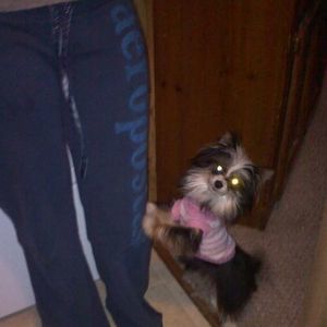 Meet your Posher, Tracy