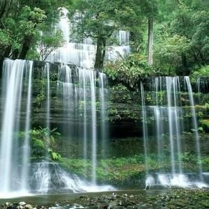 Meet your Posher, Rosa