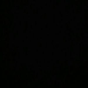 Meet your Posher, Monroe