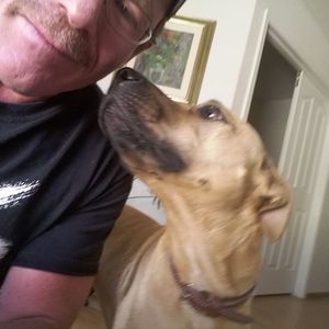 Meet your Posher, Kevin