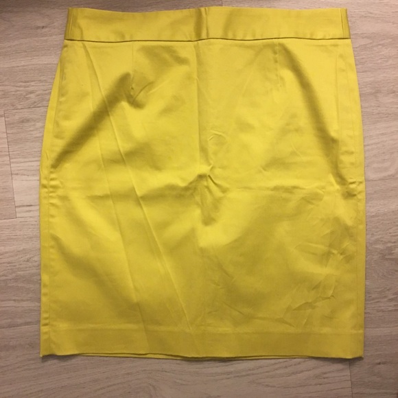 JCrew Factory Skirt NWOT