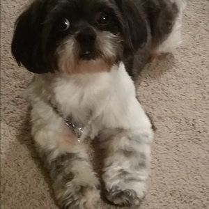 Meet your Posher, Susan