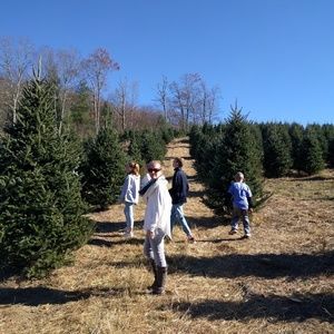 Meet your Posher, Aida