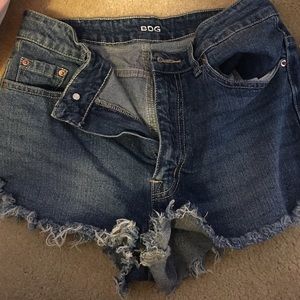 Super high rise dolphin