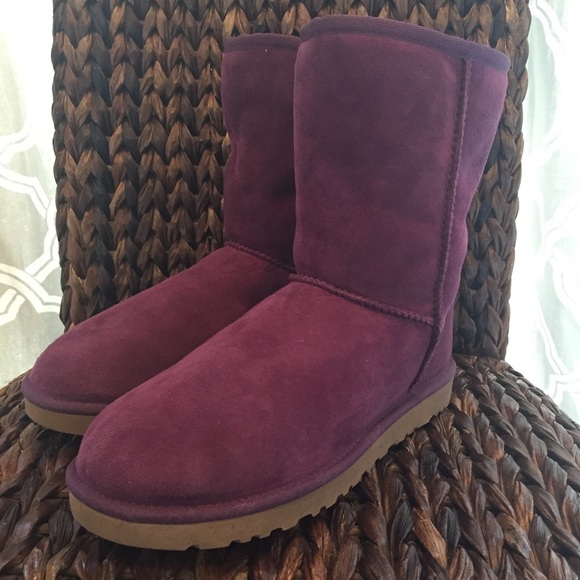 ugg aster ugg aster