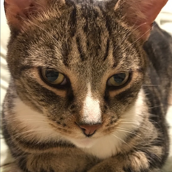 Meet your Posher, Lissa - Picture 2 of 7