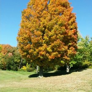 Meet your Posher, Bridget