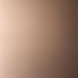 Meet your Posher, Bridgett