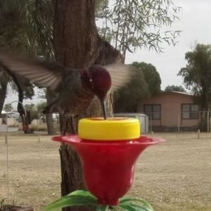 Meet your Posher, Sandra