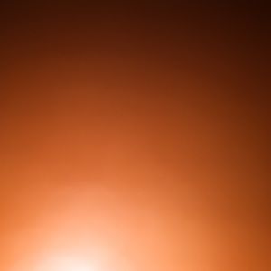 Meet your Posher, Audrey