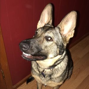 Meet your Posher, Violet