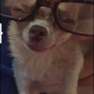 Meet your Posher, Tina