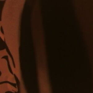 Meet your Posher, Frances