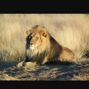 Meet your Posher, Eddie