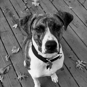 Meet your Posher, Jasmine