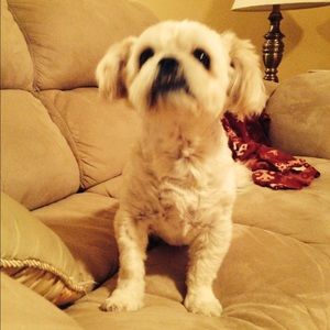 Meet your Posher, Caitlin