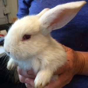 Meet your Posher, Yuka