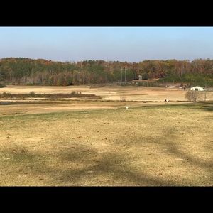 Meet your Posher, Curt