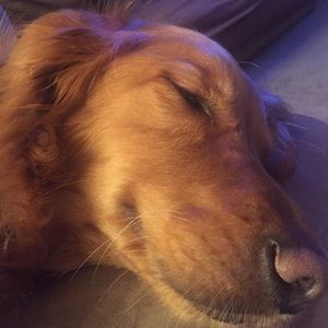 Meet your Posher, Robin