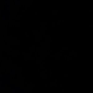 Meet your Posher, Micah