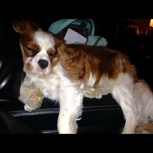 Meet your Posher, Micaela