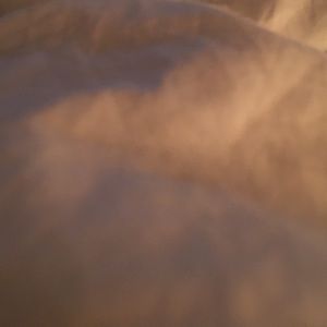 Meet your Posher, Josh