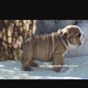 Meet your Posher, Brandi