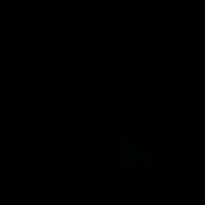 Meet your Posher, Jesse