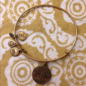 Alex & Ani bangle
