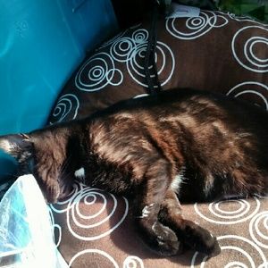 Meet your Posher, Danielle