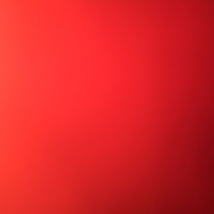 Meet your Posher, Audrey