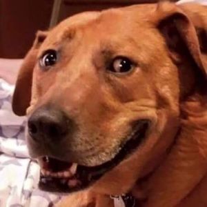 Meet your Posher, Arthur