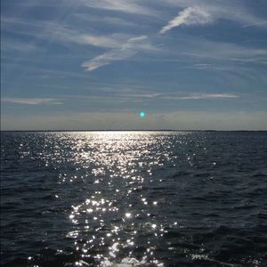 Meet your Posher, Georgia