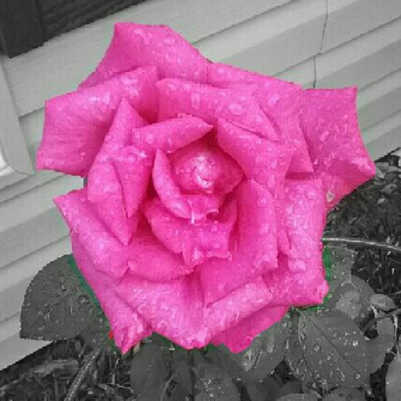 Meet your Posher, Makenzie